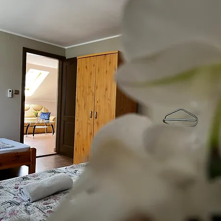 Kondákor Apartamento *